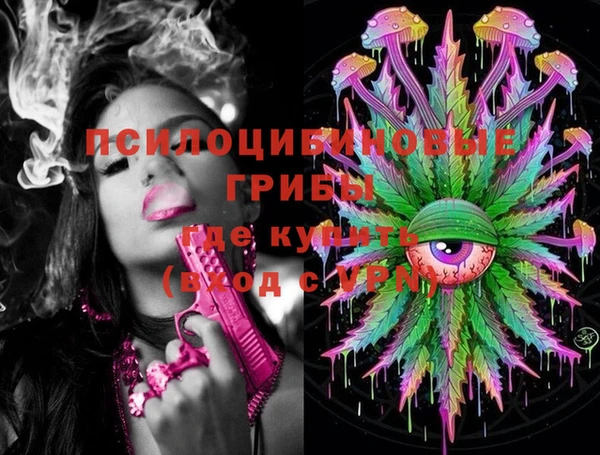 прущий лед Кодинск