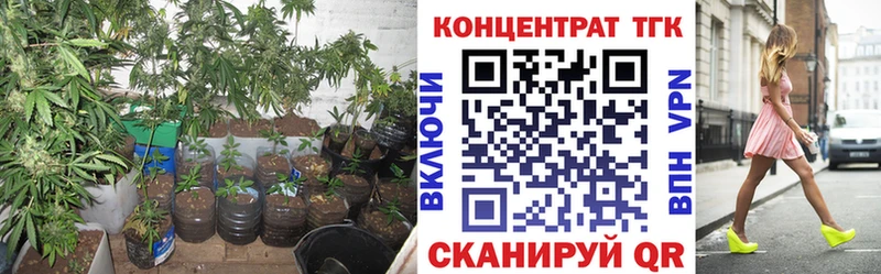 Дистиллят ТГК жижа  Купить где  Белоусово 