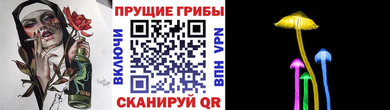 Галлюциногенные грибы GOLDEN TEACHER  Купить  Белоусово 